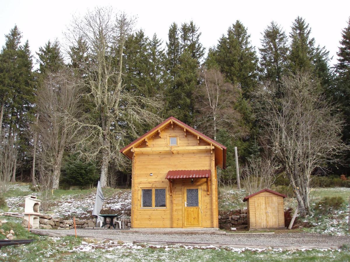 Chalet De La Peyramont *